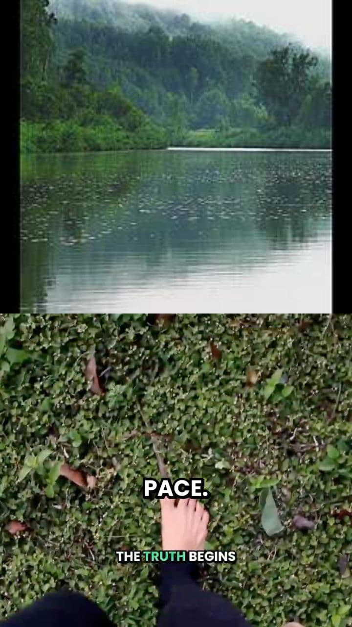 The Invisible Companion: Your Spiritual Ego