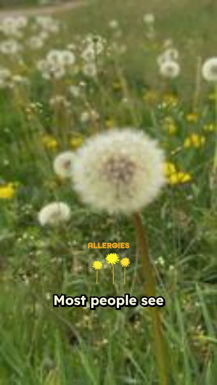 Dandelion: The Prepper’s Survival Plant