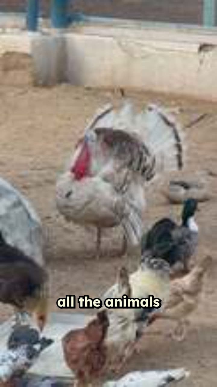 Древние животные размножаются