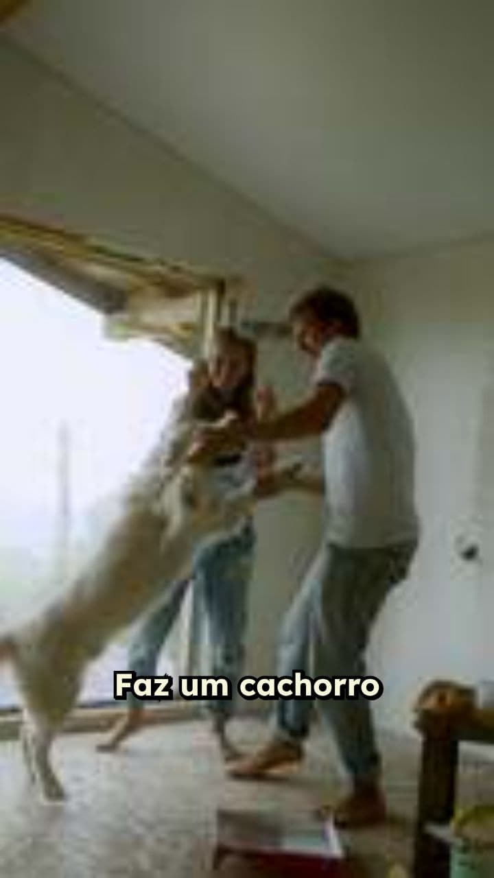 Cachorro Dançando na Moda