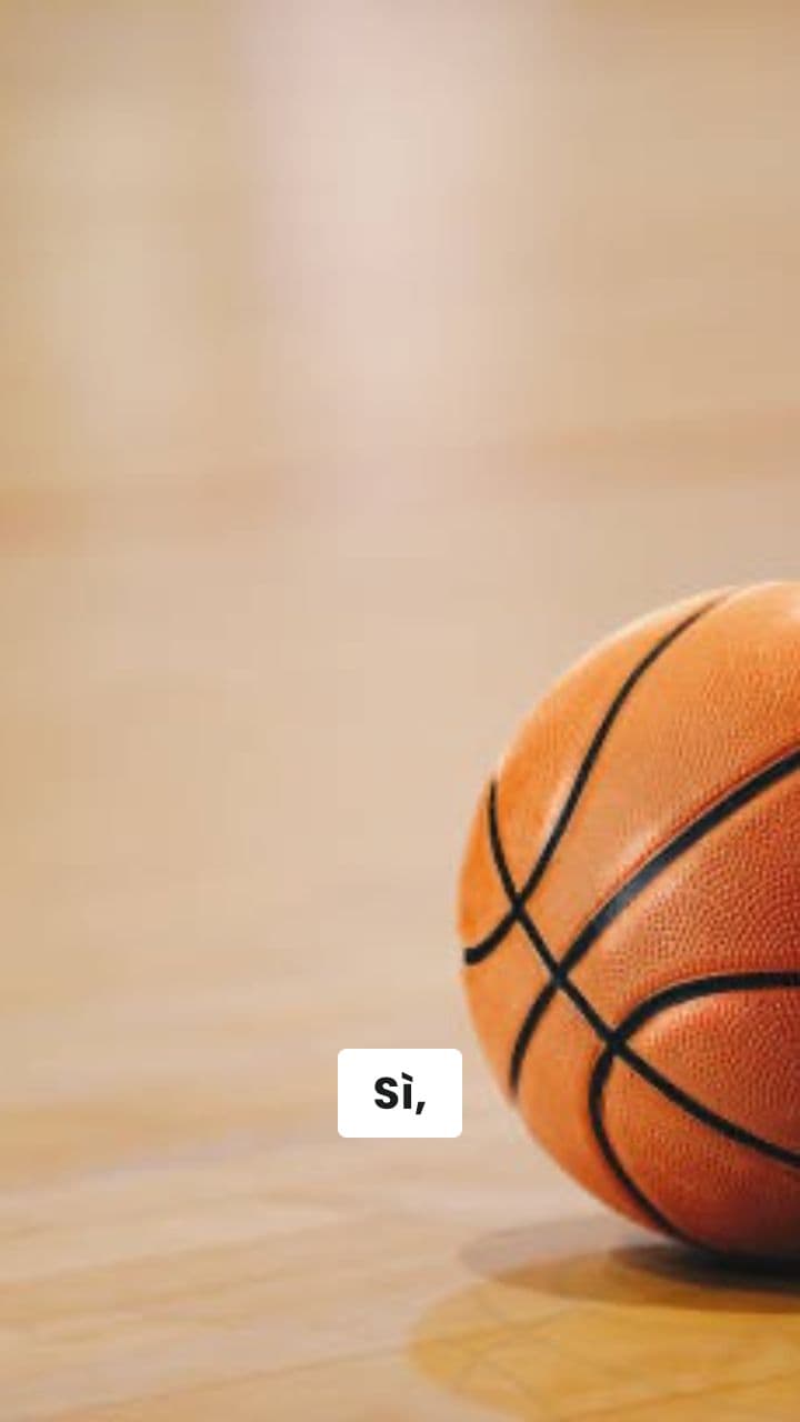 Il Pinguino-Zucchina e il Mar Rosso Brainrot