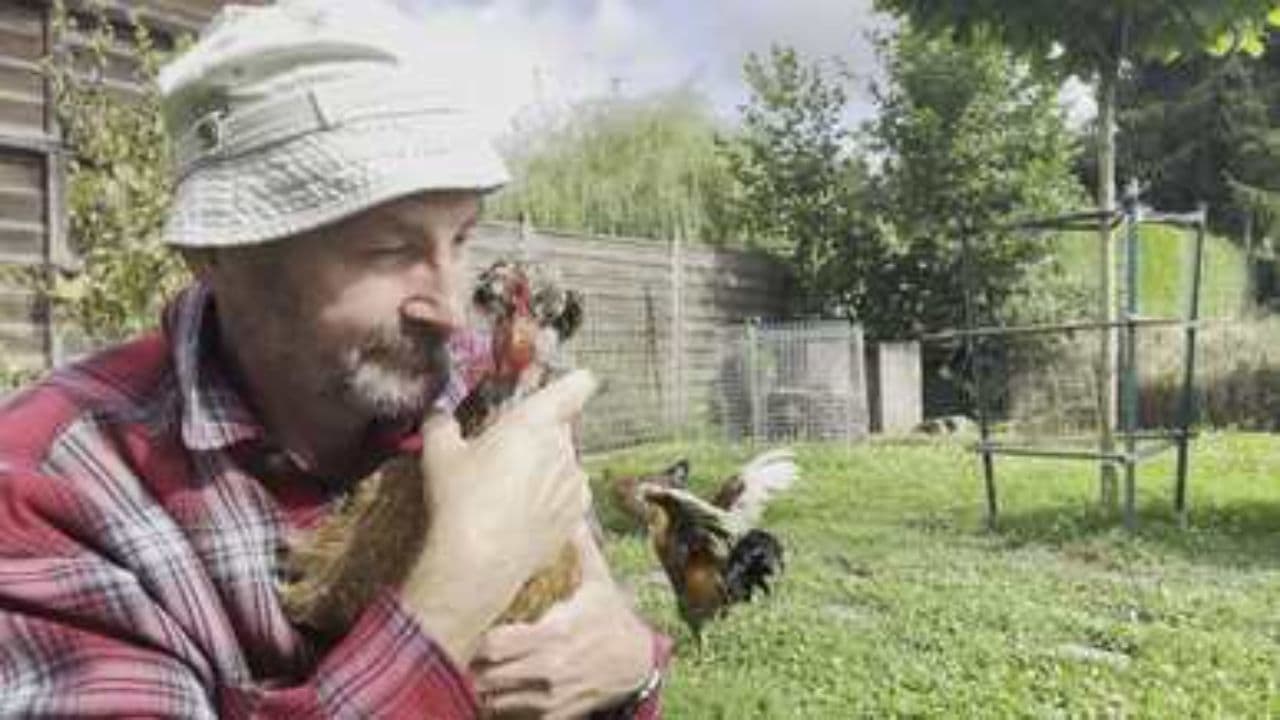 Colonial Impact on Native American Populations