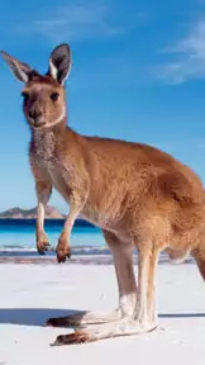 Joyeux Anniversaire Charly