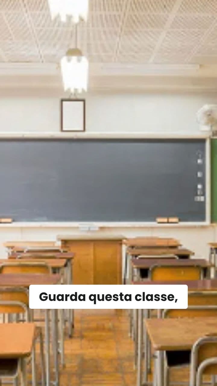 Arbocatto nel Caos Scolastico