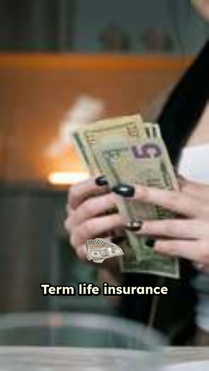 Term vs Whole Life: Invest Difference