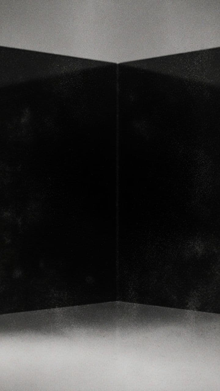 Alejandro Grimaldo Reveal - 1. FC Quälix