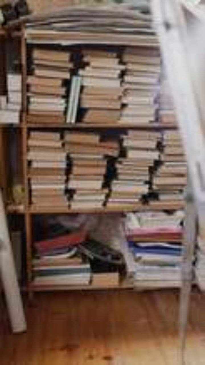 Fiori e conflitti tra avventurieri