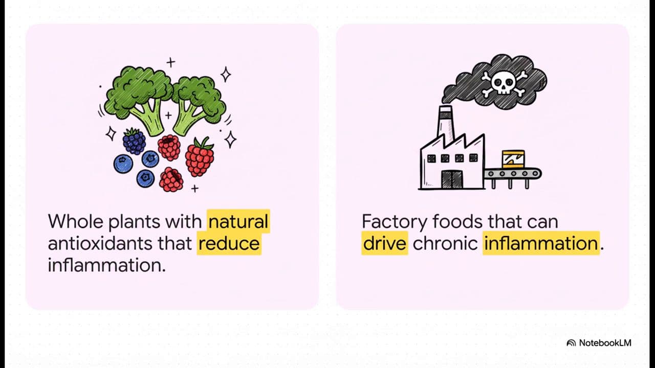 The 10 S's of Longevity