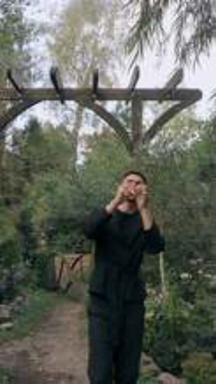 श्याम मेरा सांवरा मन का सहारा