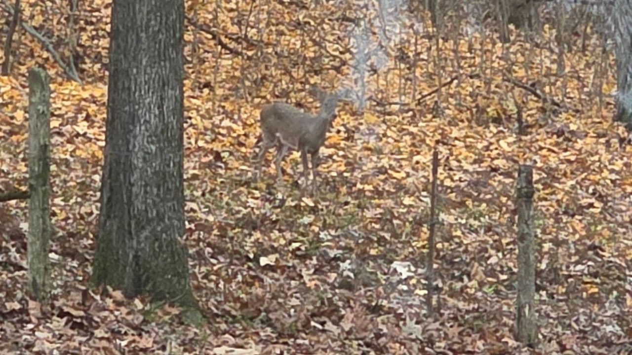 A Legacy Built: The Hunting Blind