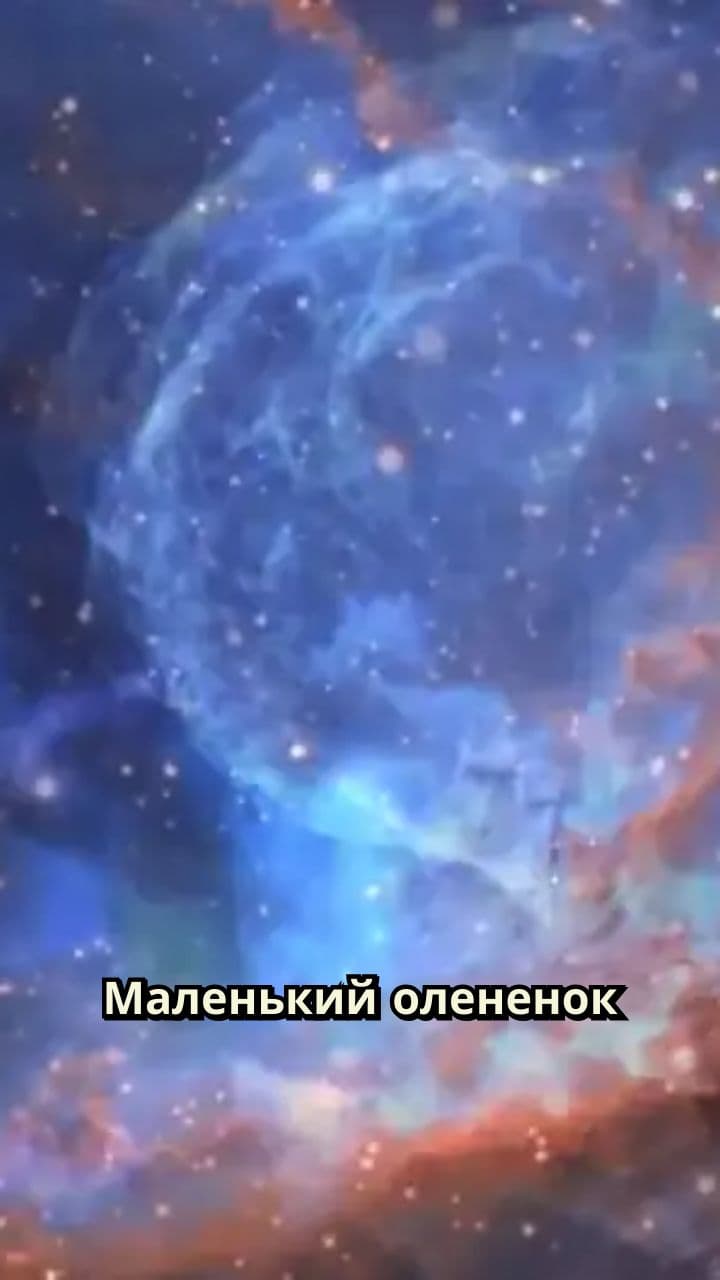 Свет мечты олененка