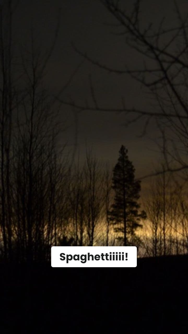 Le Avventure di Coccodrillaspira nella Foresta Fluorescente