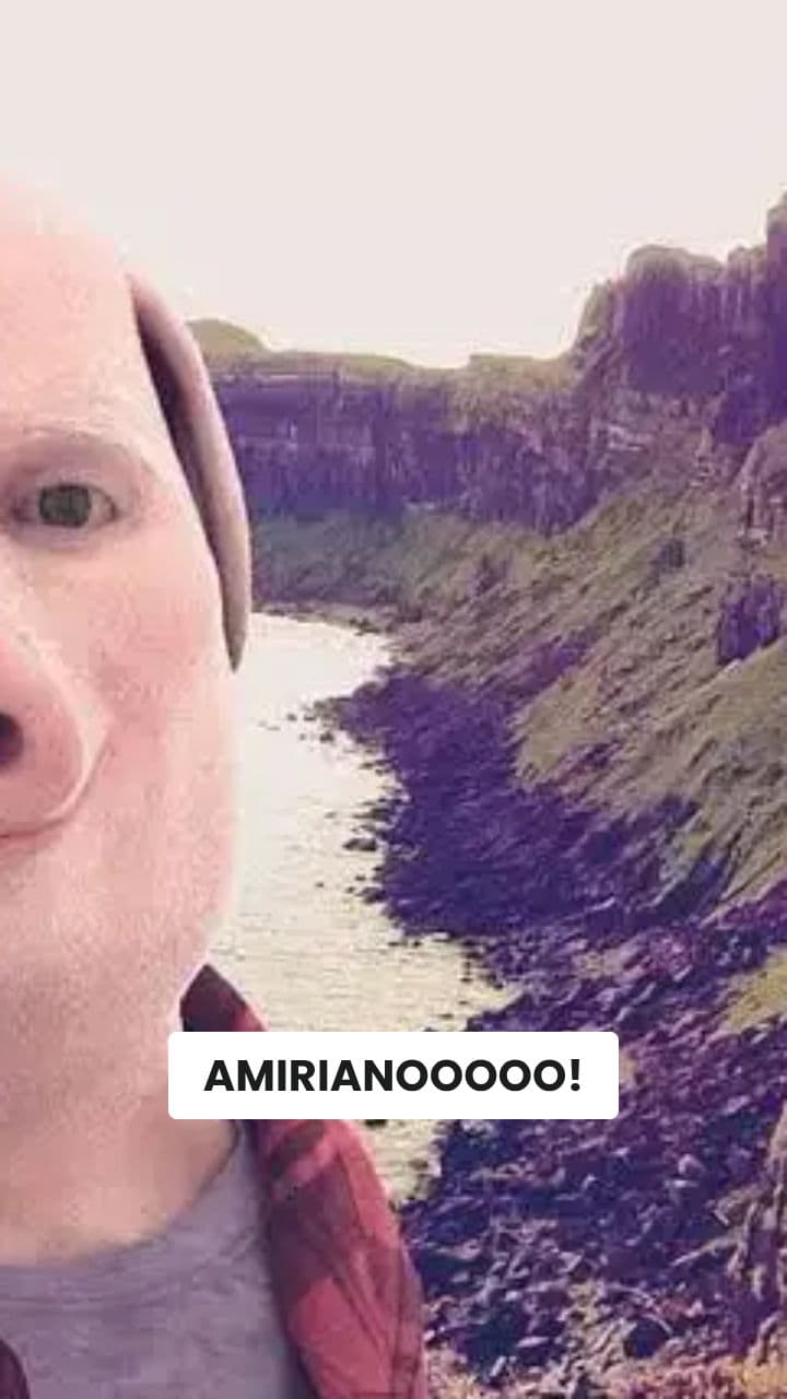 John Pork: Analisi Retorica al Prosciutto!