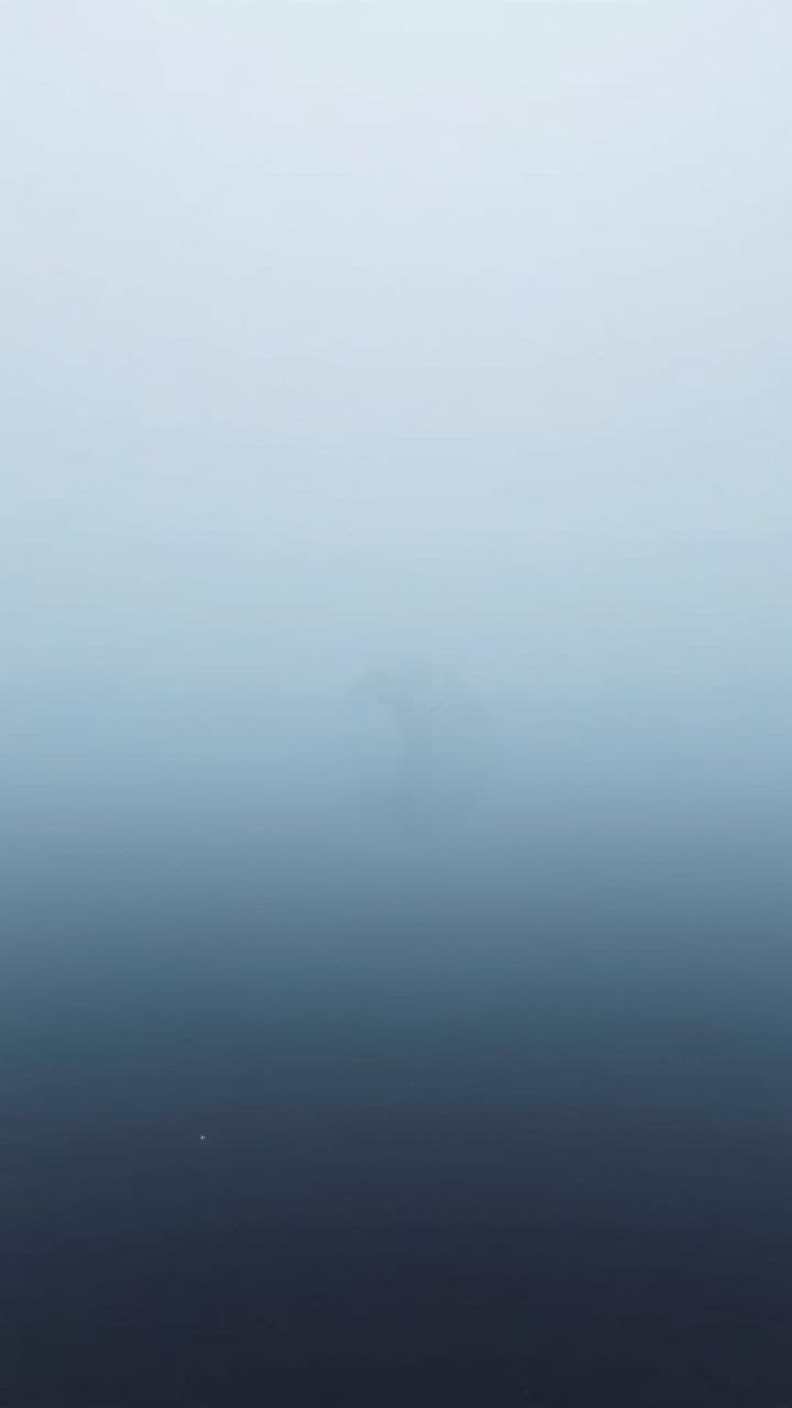 Echoes in the Fog
