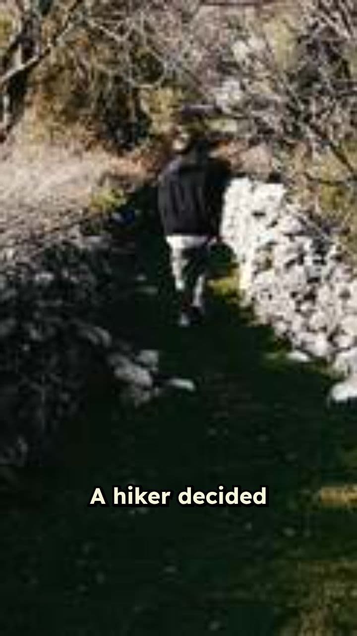 The Cabin in the Woods