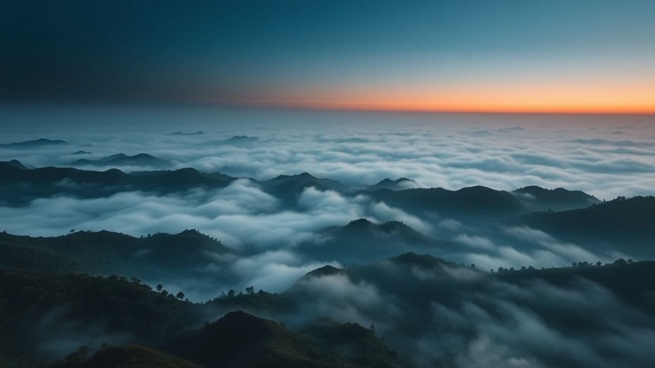 Euphoric Journey Through Sound