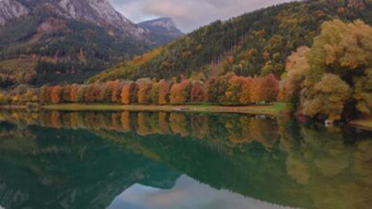 Guided by Your Light