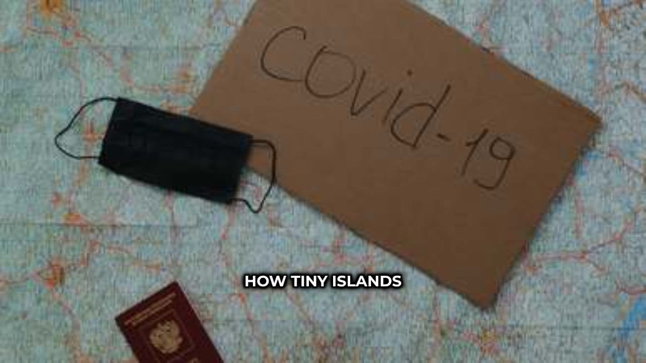 Tiny Islands and Africa's Passport Revolution