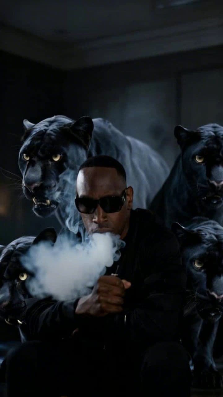 Image transform video