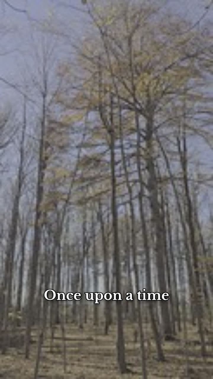 Whispers of the Forest