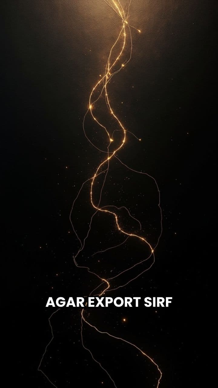 Riyan Foods and Spices: The Export System