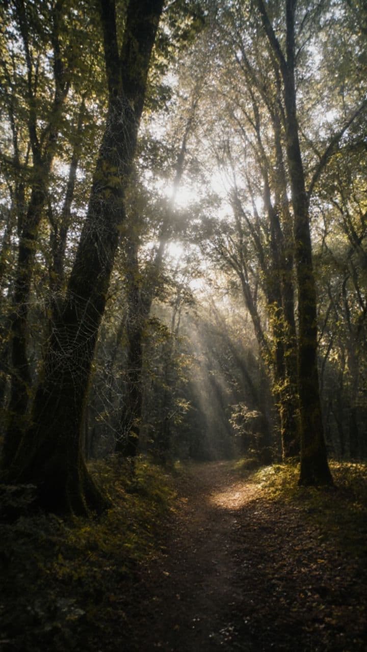 Livets kortvarighet och njutning