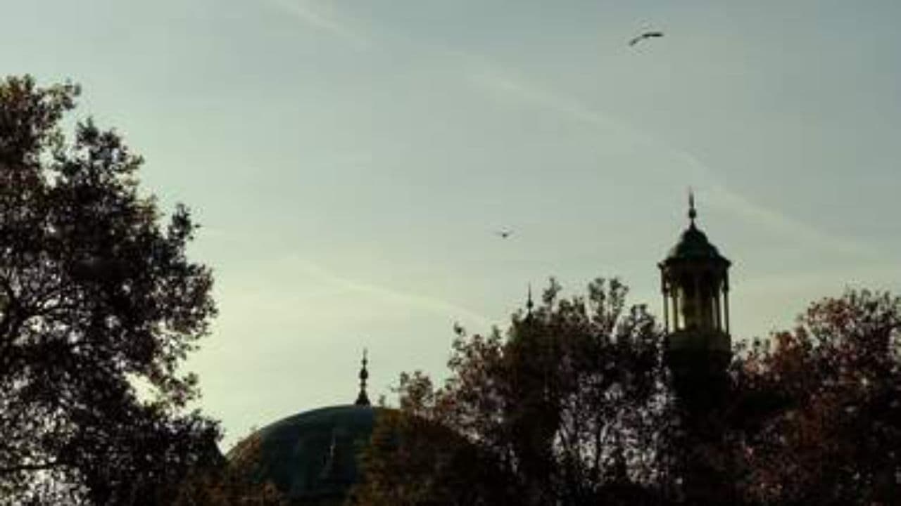 সূরা ইখলাসের গভীর অর্থ