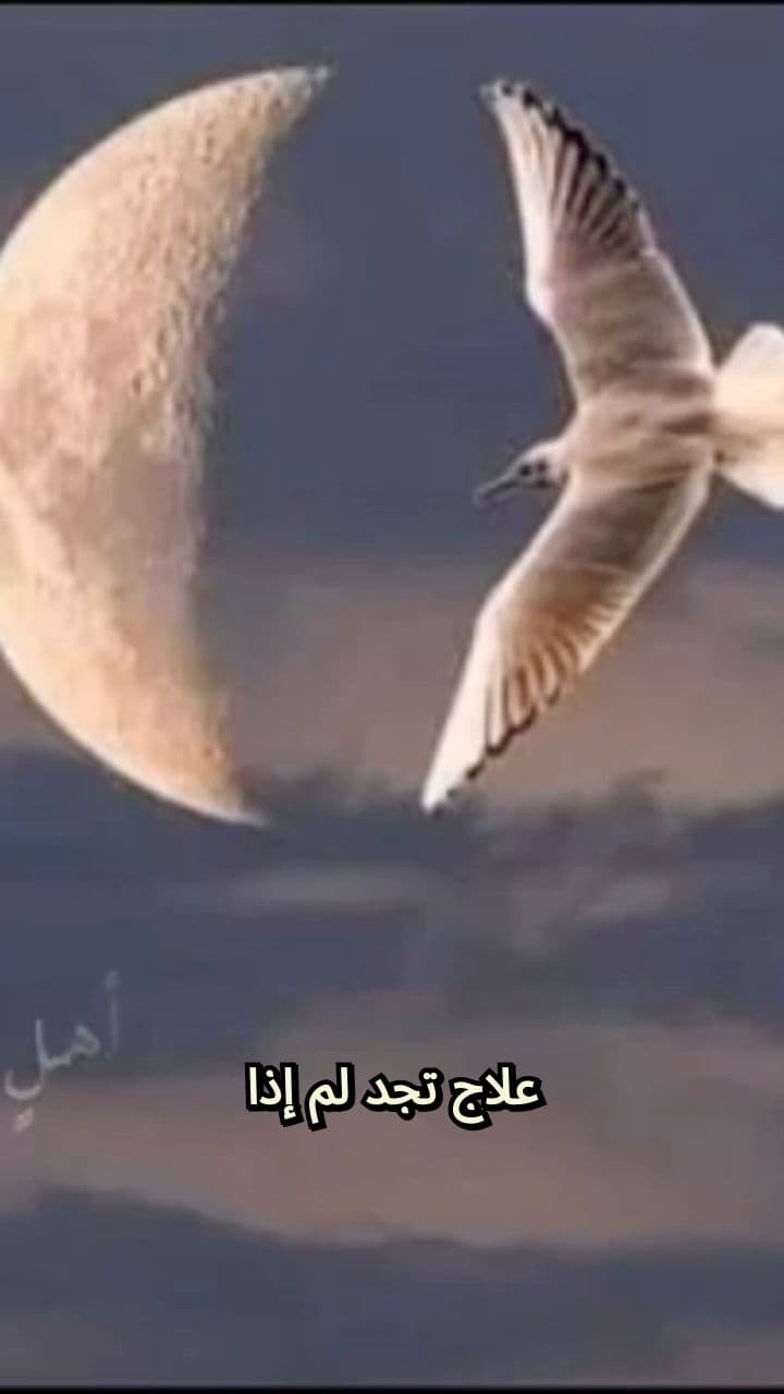 عش وحيدًا ولا تقبل بأنصاف الحلول