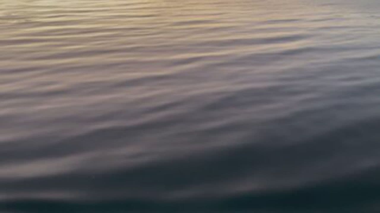 Living Different in the Daylight