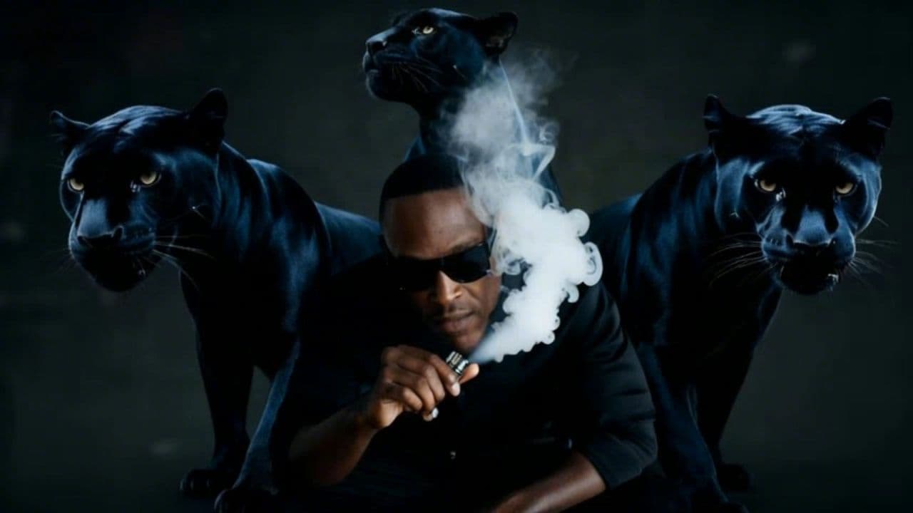 Image transform video