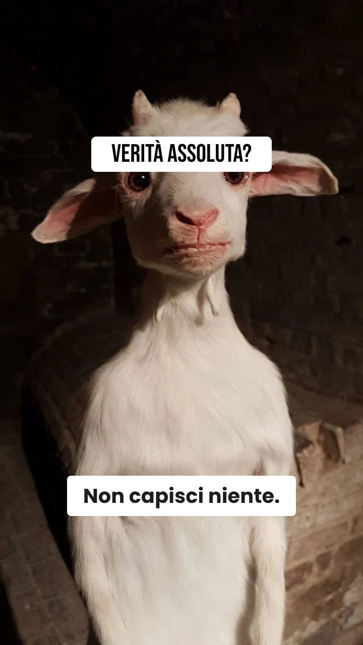 Il Padrino Capra e il Grande Sigaro