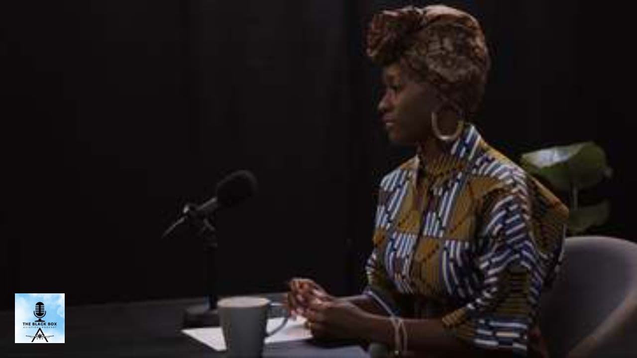 Aviation Insights and Veterans Day Stories