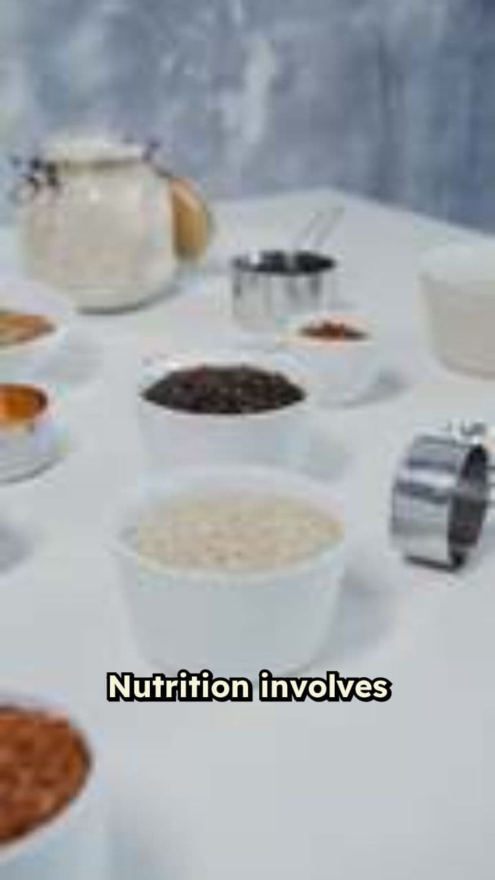 Essential Nutrients for Health and Growth