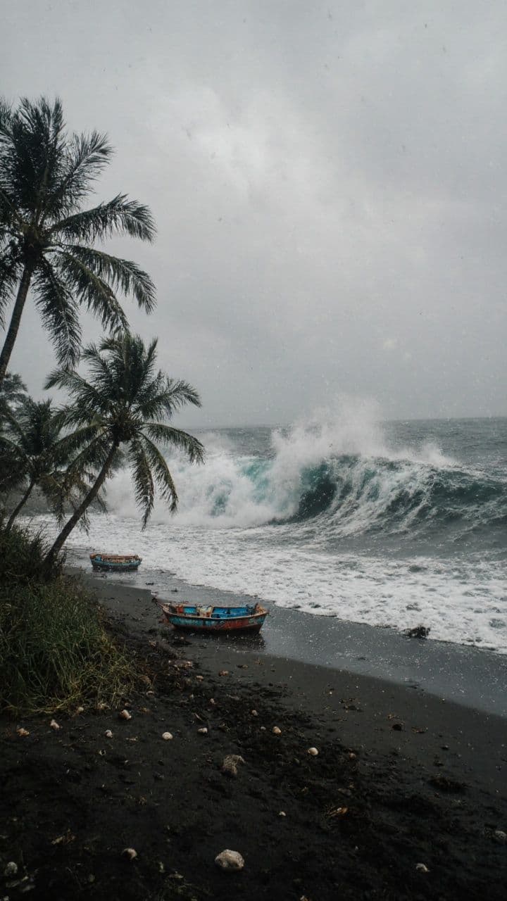 El milagro del Bebé 81