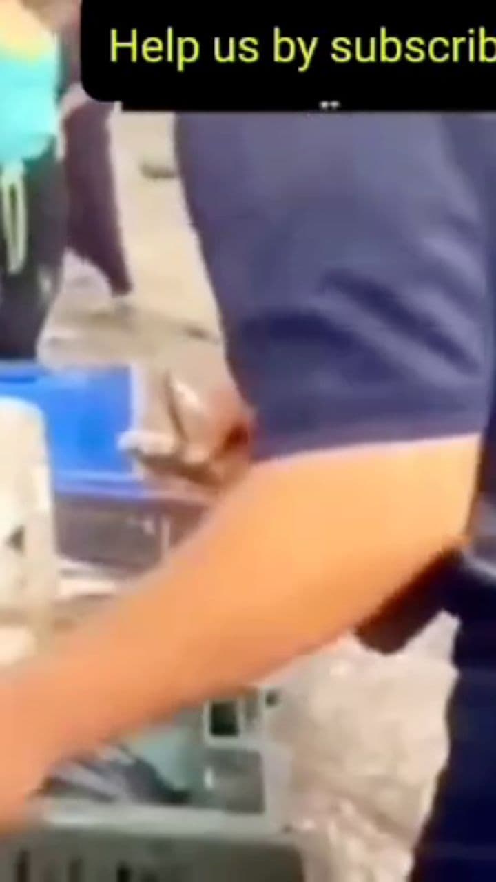 Struggles of Fishermen in Gaza