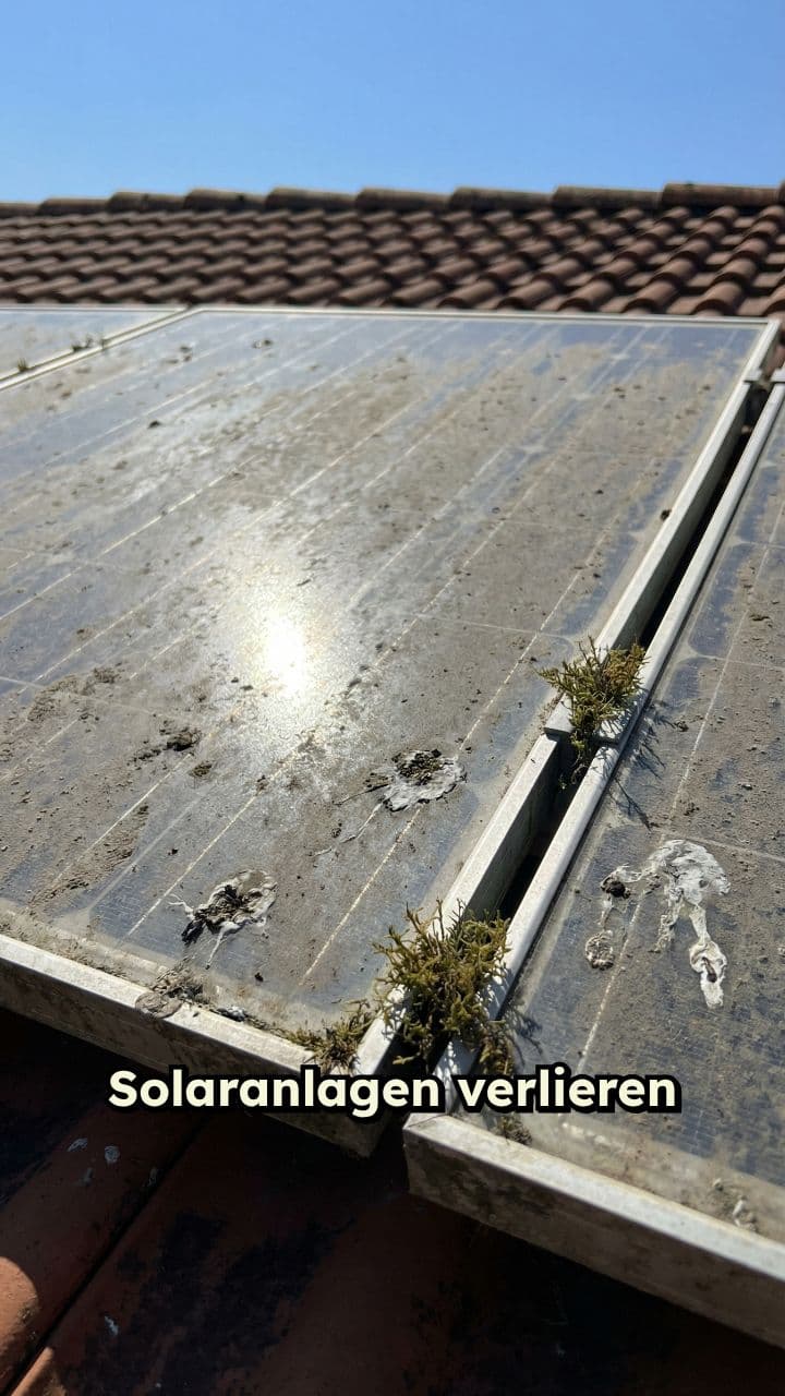 Professionelle Solarreinigung für maximale Leistung