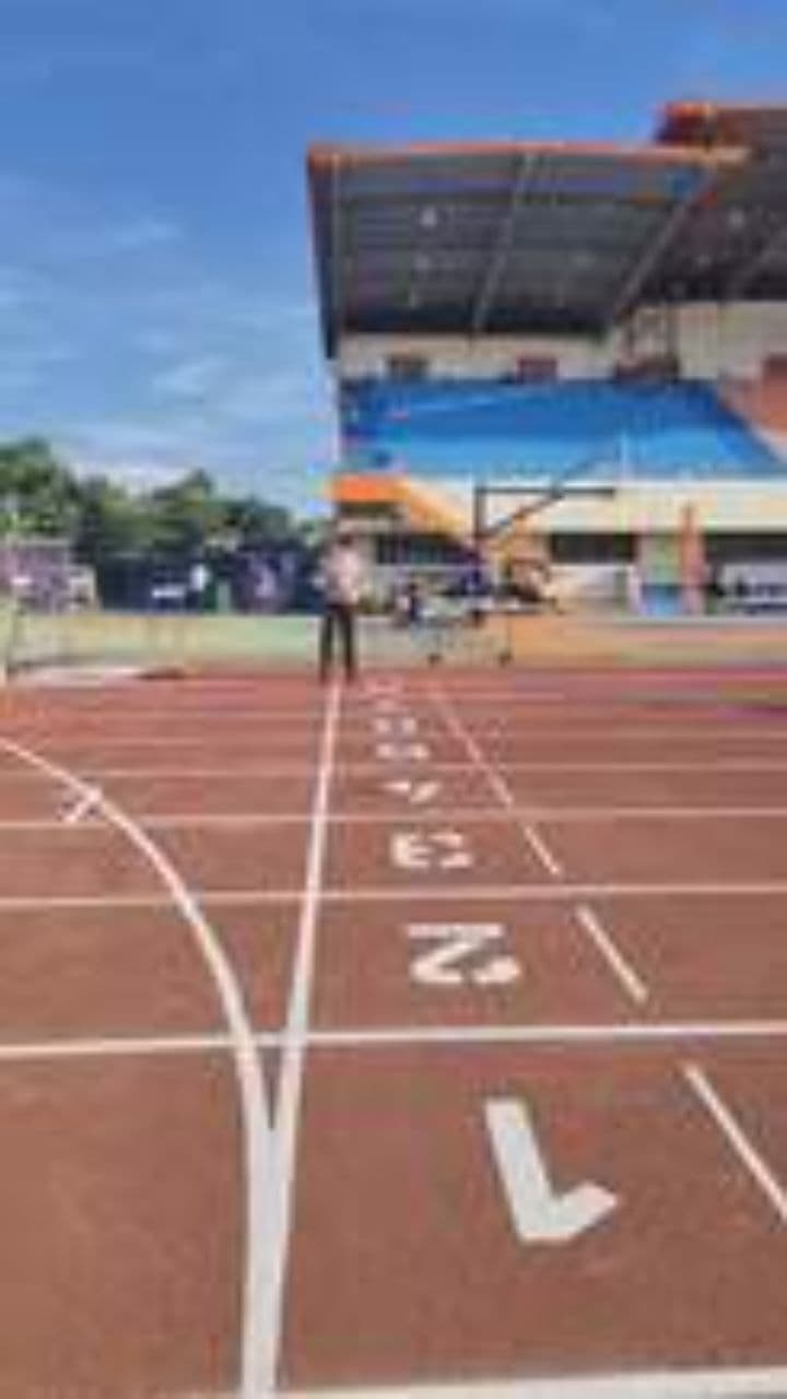 Cromatografía: La Carrera de las Moléculas