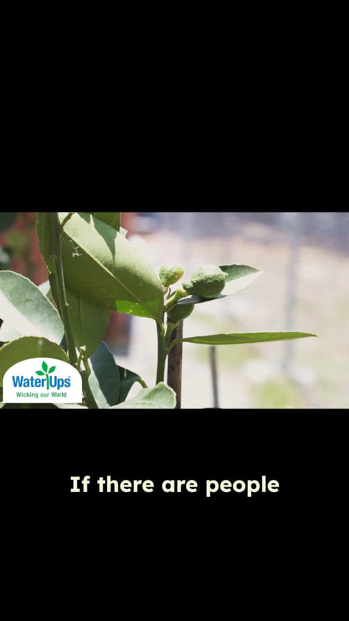 Empowering Families and Kids to Grow Their Own Food