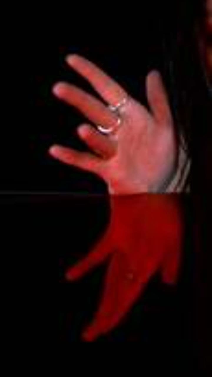 Esa bicha y el amanecer