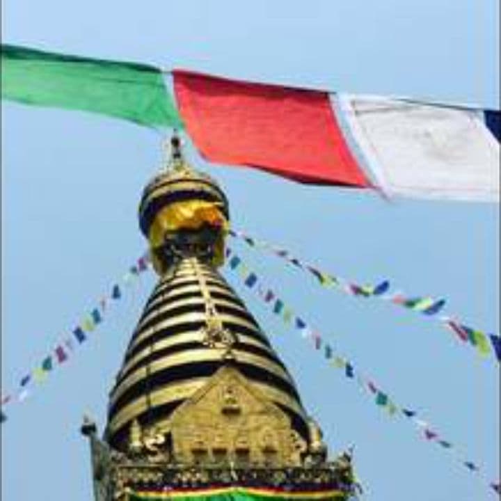 Елочка красавица