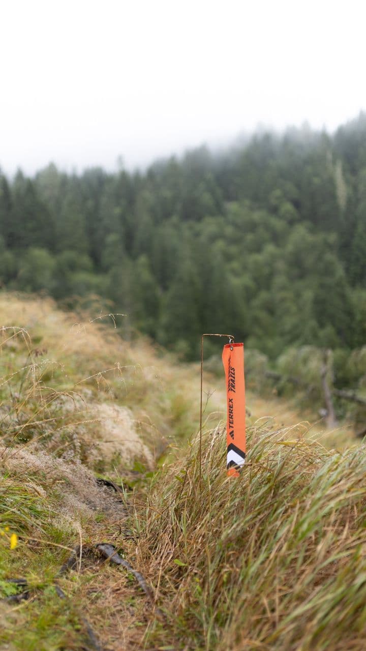 Vorschau der AIT 2025 Bilder