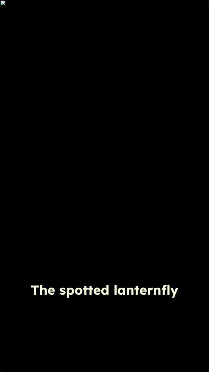 Spotted Lanternfly: A Growing Threat in Michigan