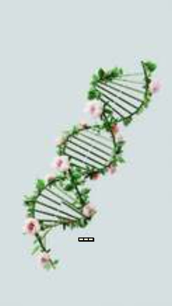 Ace: The Fastest AI Assistant