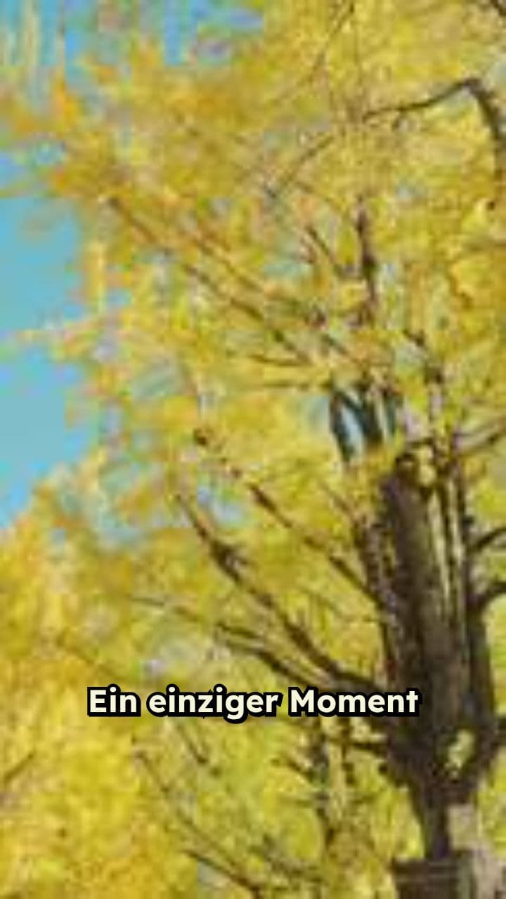 Tödlicher Unfall bei Plankenfels