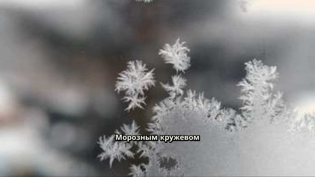 Серебряная сказка зимы