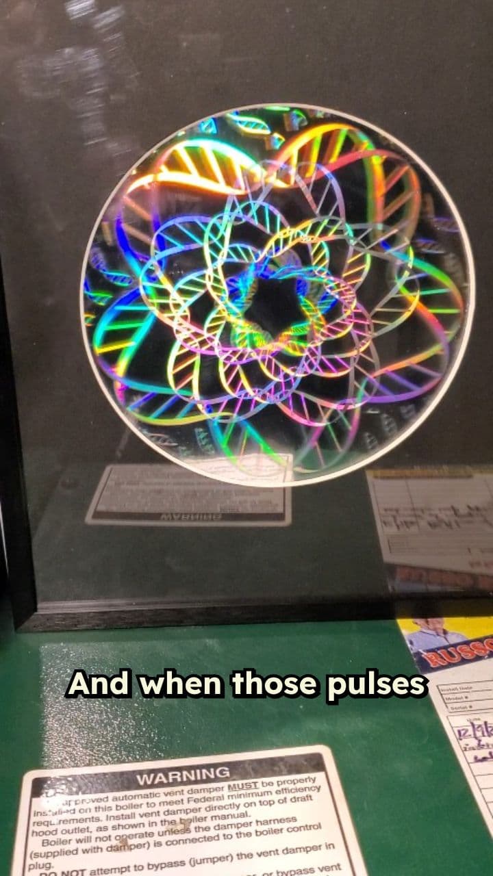 Orchestrated Symphony of Life