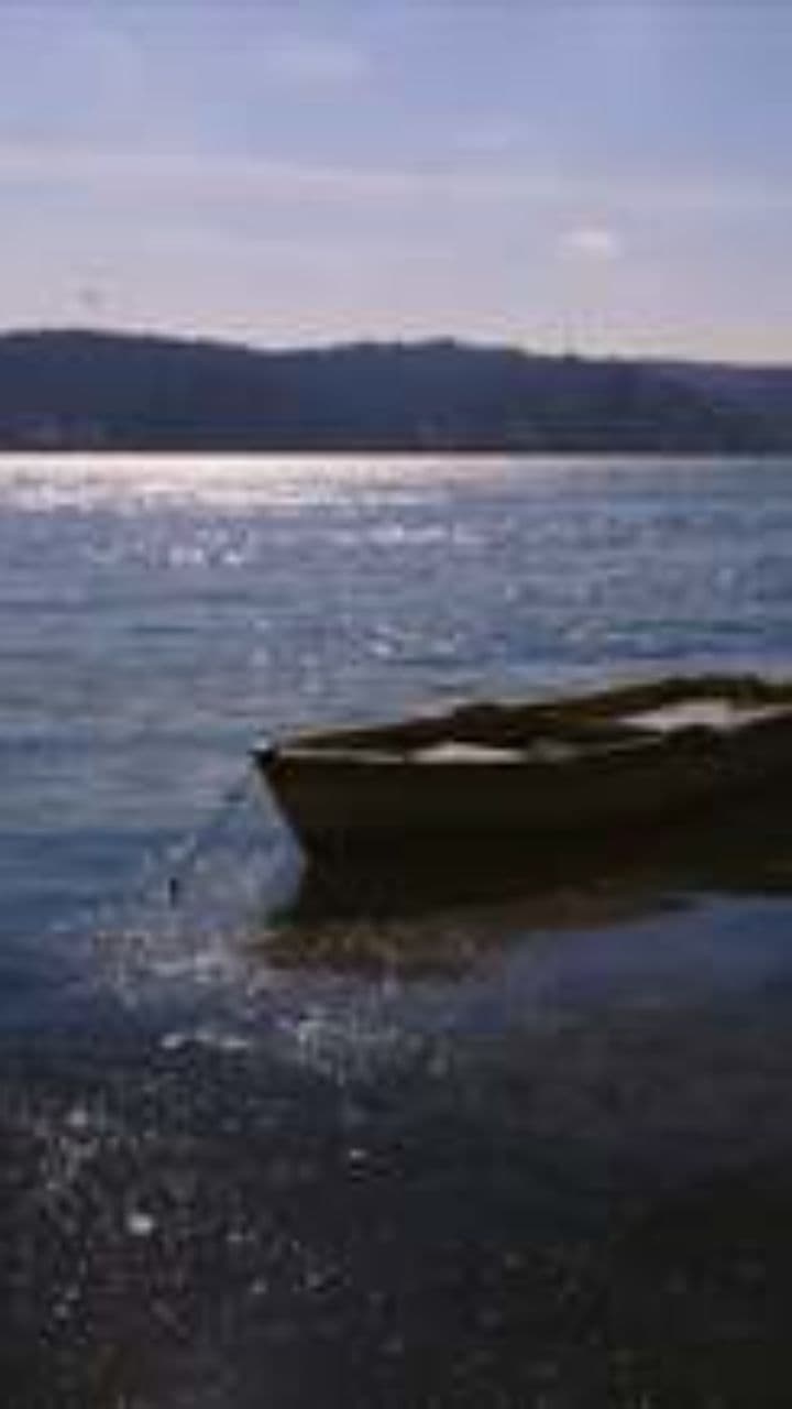 Мой тихий залив