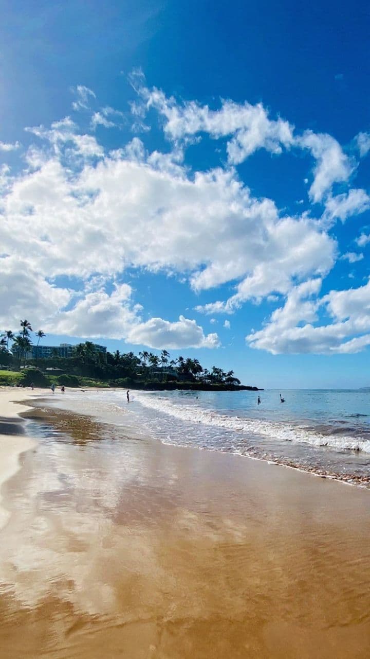 Serene Plucked Strings Meditation