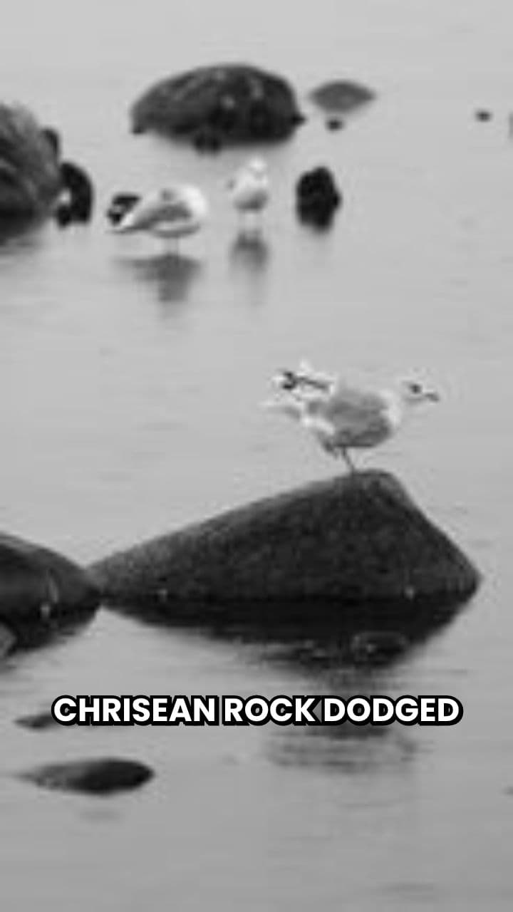 Chrisean Rock Faces Drug Allegations After Birth