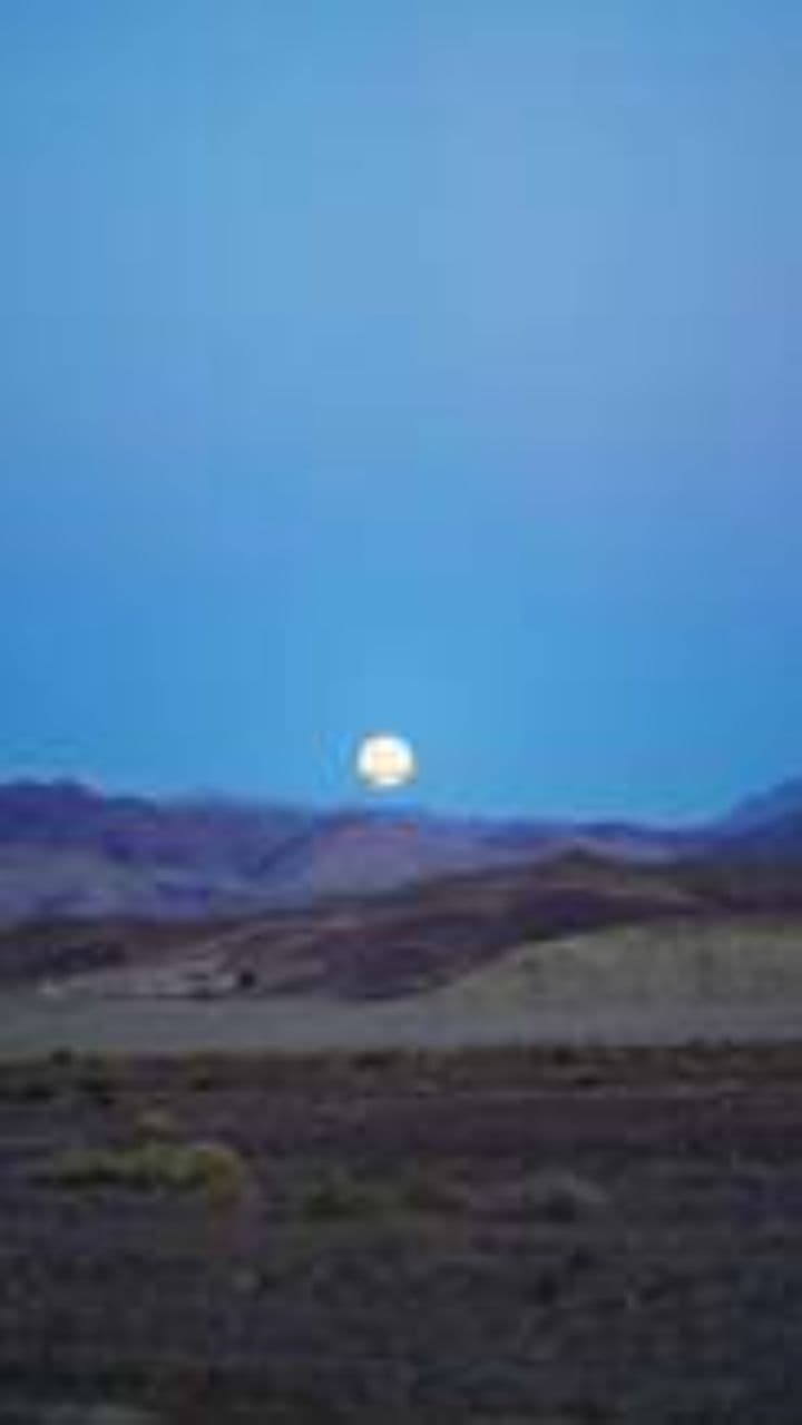 Самурай тіней